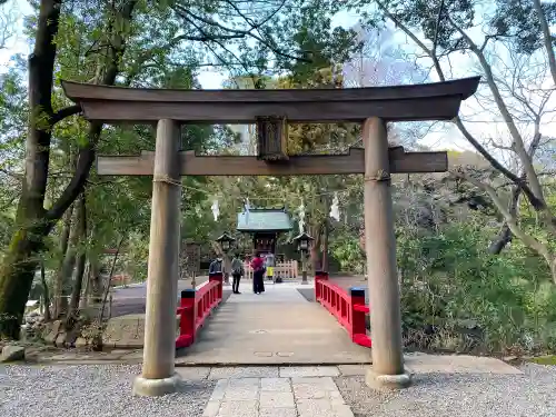 武蔵一宮氷川神社の鳥居