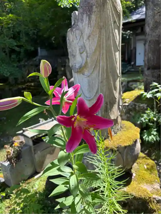 珍蔵寺 (山形県)