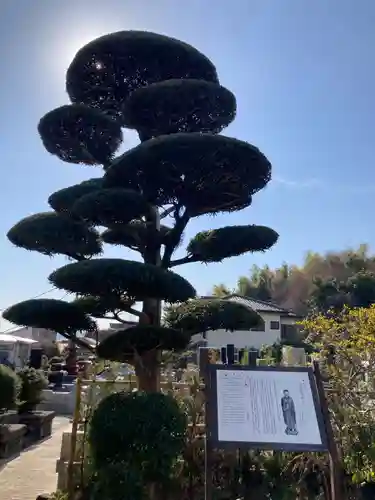 善福寺(神奈川県)