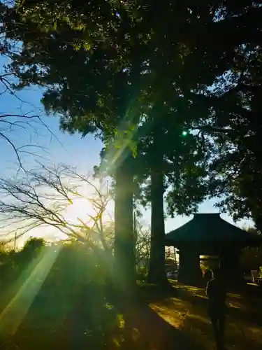 西蓮寺(茨城県)