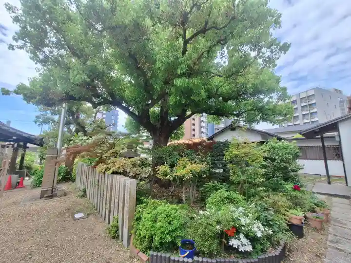 中島惣社の{uncategorized: "未分類", other: "その他", undefined: "問題あり", building: "その他建物", grave: "お墓", sacred_gate: "鳥居", guardian: "狛犬", statue: "像", buddha: "仏像", history: "歴史", nature: "自然", garden: "庭園", animal: "動物", pagoda: "塔", temizu: "手水舎", mountain_gate: "山門・神門", sanctuary: "本殿・本堂", subordinate: "末社・摂社", art: "芸術", scenery: "景色", jizo: "地蔵", ema: "絵馬", goshuin: "御朱印", omikuji: "おみくじ", items: "授与品その他", amulet: "お守り", goshuincho: "御朱印帳", eats: "食事", festival: "お祭り", votive_dance: "神楽", shichigosan: "七五三参", wedding: "結婚式", experience: "体験その他", initially: "初詣", around: "周辺", anti_infection: "感染症対策"}