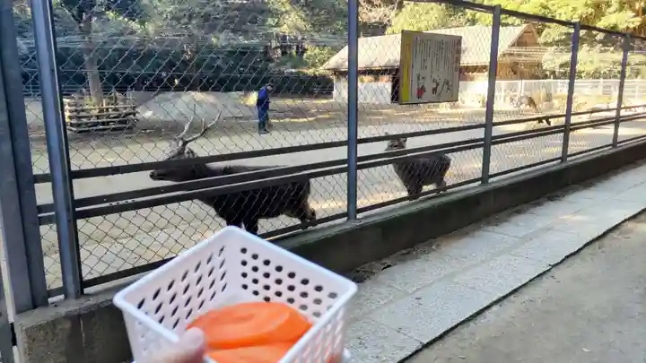 鹿島神宮(茨城県)