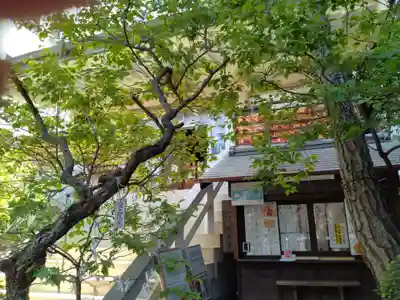 静岡天満宮(静岡県)