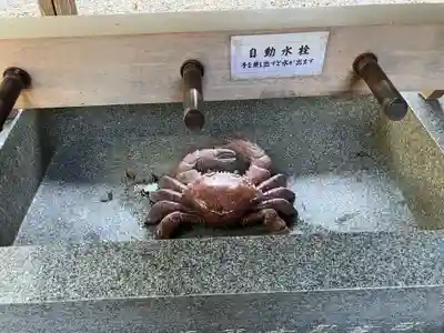 多賀神社（尾張多賀神社）(愛知県)