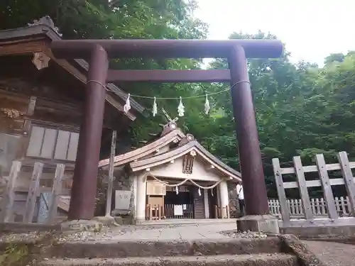 戸隠神社九頭龍社の鳥居