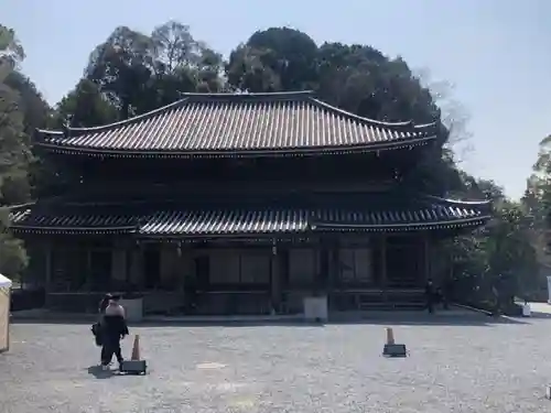 知恩院(京都府)