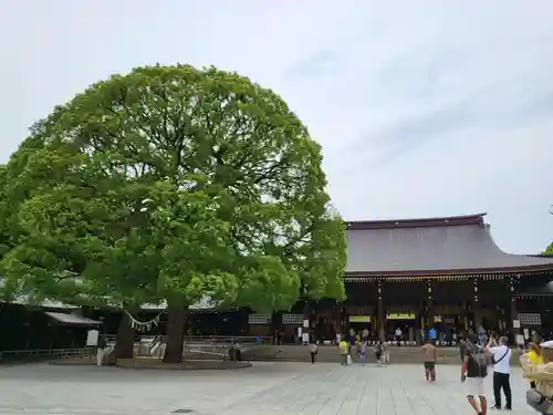 明治神宮(東京都)