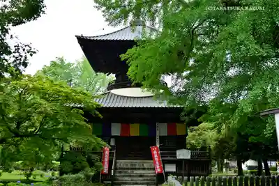 鑁阿寺の本殿・本堂