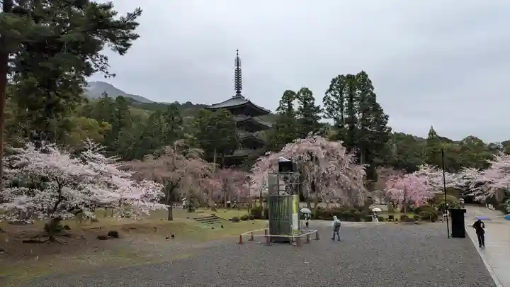醍醐寺(京都府)
