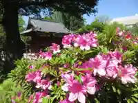 根津神社の自然