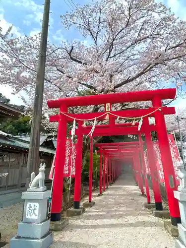 金井神社の鳥居