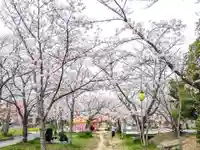 星田妙見宮の自然