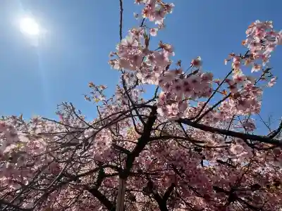 八大龍王辨財天の{uncategorized: "未分類", other: "その他", undefined: "問題あり", building: "その他建物", grave: "お墓", sacred_gate: "鳥居", guardian: "狛犬", statue: "像", buddha: "仏像", history: "歴史", nature: "自然", garden: "庭園", animal: "動物", pagoda: "塔", temizu: "手水舎", mountain_gate: "山門・神門", sanctuary: "本殿・本堂", subordinate: "末社・摂社", art: "芸術", scenery: "景色", jizo: "地蔵", ema: "絵馬", goshuin: "御朱印", omikuji: "おみくじ", items: "授与品その他", amulet: "お守り", goshuincho: "御朱印帳", eats: "食事", festival: "お祭り", votive_dance: "神楽", shichigosan: "七五三参", wedding: "結婚式", experience: "体験その他", initially: "初詣", around: "周辺", anti_infection: "感染症対策"}