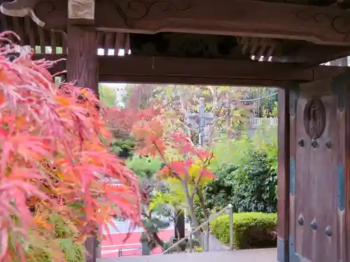 法輪寺の山門・神門