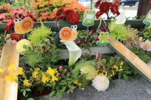 豊景神社の手水