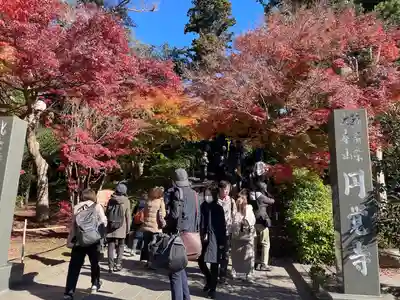 円覚寺(神奈川県)