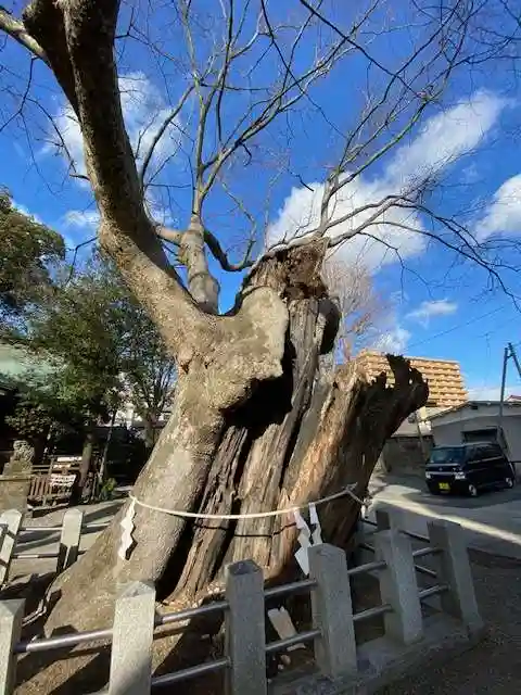 阿邪訶根神社(福島県)