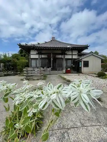高徳院(千葉県)
