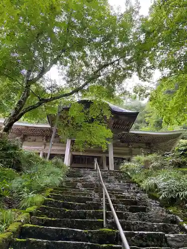 金剛院の山門