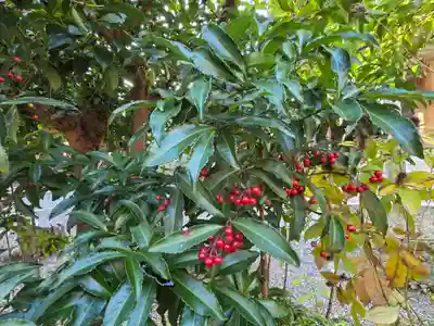 沙沙貴神社(滋賀県)