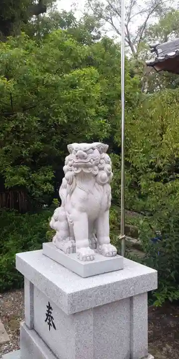 羽束師坐高御産日神社の狛犬