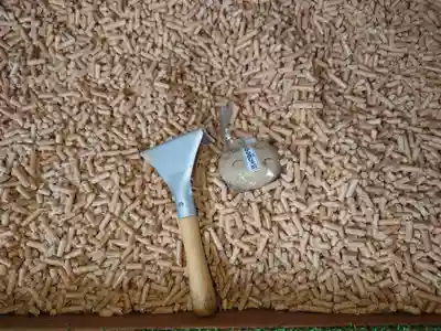 浦幌神社・乳神神社のおみくじ