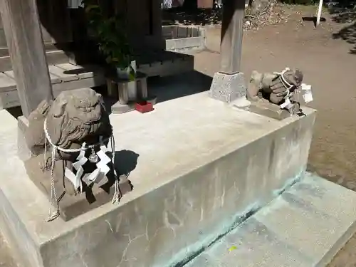 高屋神社の狛犬