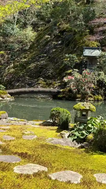 慈恩護国禅寺の{uncategorized: "未分類", other: "その他", undefined: "問題あり", building: "その他建物", grave: "お墓", sacred_gate: "鳥居", guardian: "狛犬", statue: "像", buddha: "仏像", history: "歴史", nature: "自然", garden: "庭園", animal: "動物", pagoda: "塔", temizu: "手水舎", mountain_gate: "山門・神門", sanctuary: "本殿・本堂", subordinate: "末社・摂社", art: "芸術", scenery: "景色", jizo: "地蔵", ema: "絵馬", goshuin: "御朱印", omikuji: "おみくじ", items: "授与品その他", amulet: "お守り", goshuincho: "御朱印帳", eats: "食事", festival: "お祭り", votive_dance: "神楽", shichigosan: "七五三参", wedding: "結婚式", experience: "体験その他", initially: "初詣", around: "周辺", anti_infection: "感染症対策"}