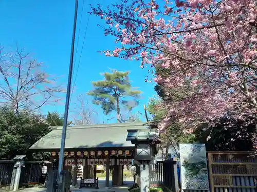 櫻木神社の建物その他