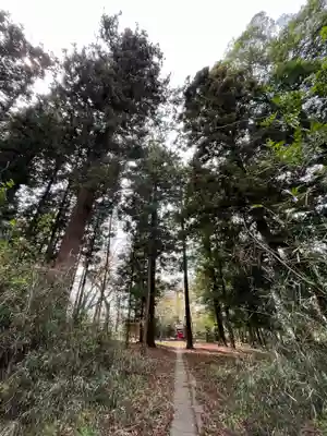 神炊館神社 ⁂奥州須賀川総鎮守⁂の周辺
