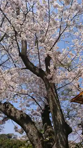鶴岡八幡宮の{uncategorized: "未分類", other: "その他", undefined: "問題あり", building: "その他建物", grave: "お墓", sacred_gate: "鳥居", guardian: "狛犬", statue: "像", buddha: "仏像", history: "歴史", nature: "自然", garden: "庭園", animal: "動物", pagoda: "塔", temizu: "手水舎", mountain_gate: "山門・神門", sanctuary: "本殿・本堂", subordinate: "末社・摂社", art: "芸術", scenery: "景色", jizo: "地蔵", ema: "絵馬", goshuin: "御朱印", omikuji: "おみくじ", items: "授与品その他", amulet: "お守り", goshuincho: "御朱印帳", eats: "食事", festival: "お祭り", votive_dance: "神楽", shichigosan: "七五三参", wedding: "結婚式", experience: "体験その他", initially: "初詣", around: "周辺", anti_infection: "感染症対策"}
