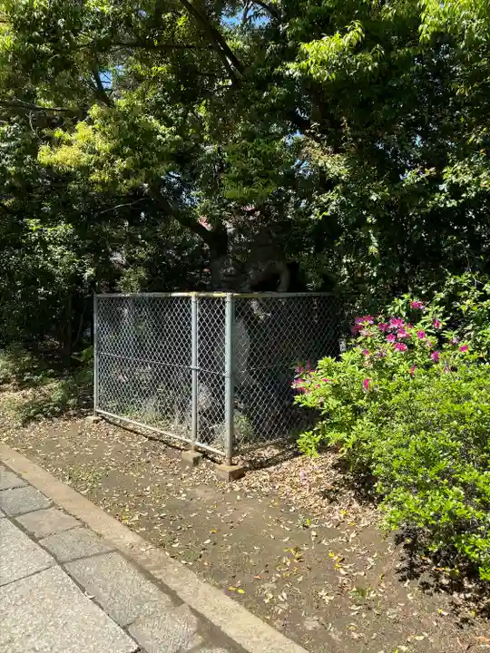 春日部八幡神社(埼玉県)