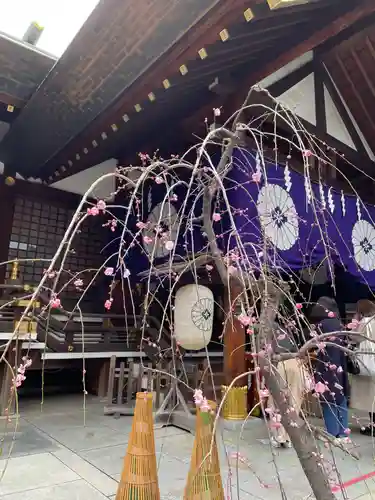 東京大神宮(東京都)