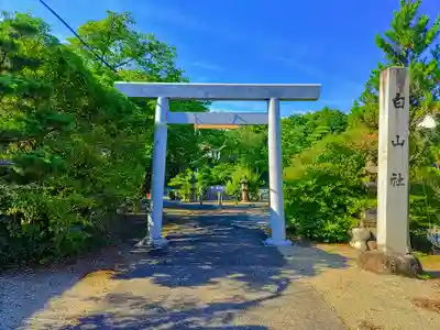 白山神社(木曽川町黒田)の鳥居