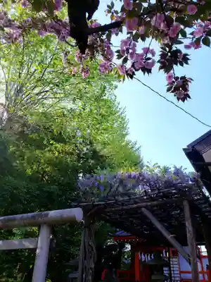 藤神稲荷神社(東京都)