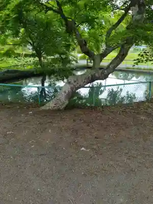 熊野本宮社(宮城県)