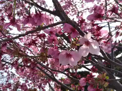 祇園山 徳城寺(愛知県)