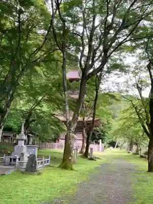 金剛院(京都府)