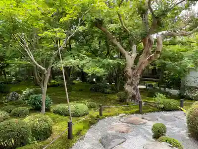 圓光寺(京都府)