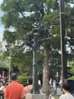 闘鶏神社(和歌山県)