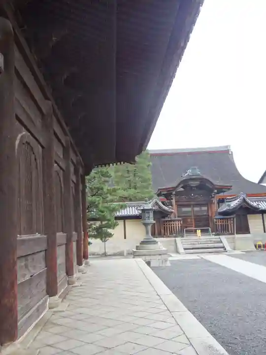 妙心寺(妙心禅寺)(京都府)