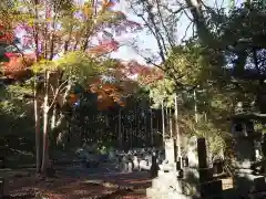 人穴浅間神社の自然