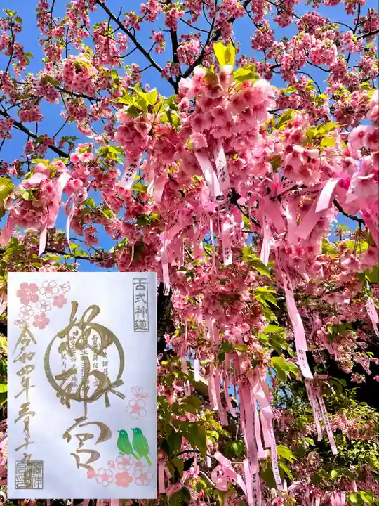 桜神宮の御朱印
