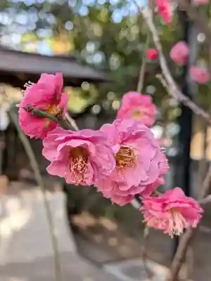 布多天神社(東京都)