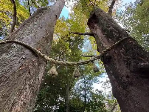 川越氷川神社の{uncategorized: "未分類", other: "その他", undefined: "問題あり", building: "その他建物", grave: "お墓", sacred_gate: "鳥居", guardian: "狛犬", statue: "像", buddha: "仏像", history: "歴史", nature: "自然", garden: "庭園", animal: "動物", pagoda: "塔", temizu: "手水舎", mountain_gate: "山門・神門", sanctuary: "本殿・本堂", subordinate: "末社・摂社", art: "芸術", scenery: "景色", jizo: "地蔵", ema: "絵馬", goshuin: "御朱印", omikuji: "おみくじ", items: "授与品その他", amulet: "お守り", goshuincho: "御朱印帳", eats: "食事", festival: "お祭り", votive_dance: "神楽", shichigosan: "七五三参", wedding: "結婚式", experience: "体験その他", initially: "初詣", around: "周辺", anti_infection: "感染症対策"}
