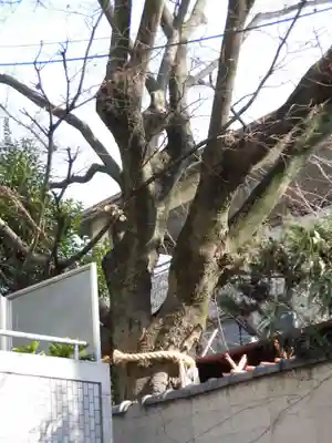 円珠庵（鎌八幡）(大阪府)