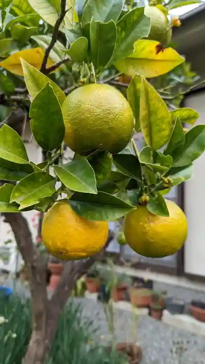 惠心院(京都府)
