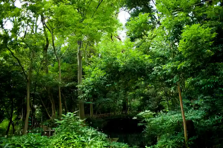 武蔵一宮氷川神社の自然