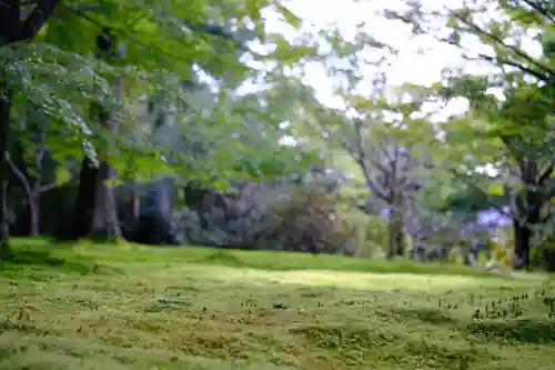 三千院門跡の自然