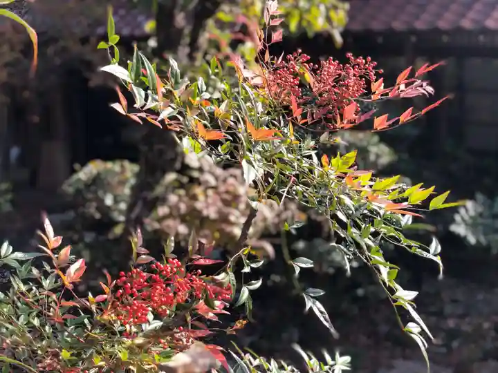 木舟山 順教寺(広島県)